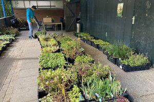 Plantdag in de dorpstuin