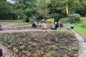 Plantdag in de dorpstuin