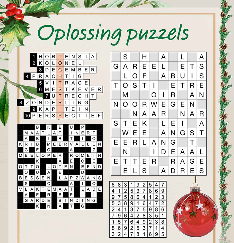 Oplossingen Kerstpuzzels