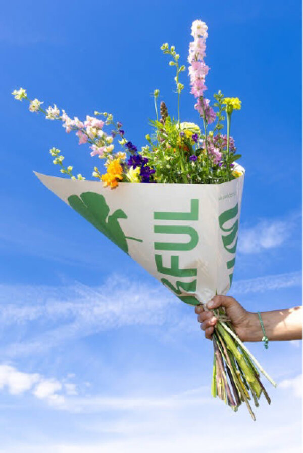 Biologische bloemen bij Bloemenpotpourri 2.0